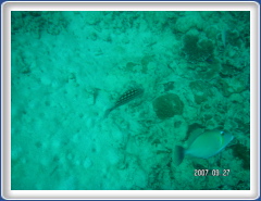 PICT0062