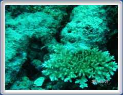 PICT0065