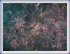 PICT0068