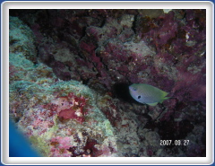PICT0072
