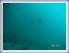 PICT0073