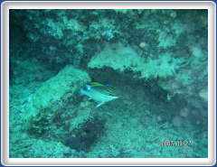 PICT0077