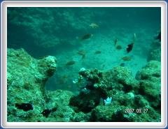 PICT0080