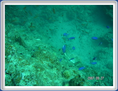PICT0088