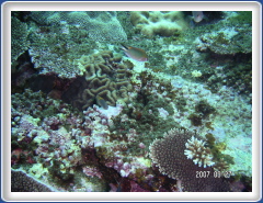 PICT0171