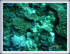 PICT0134