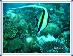 PICT0137