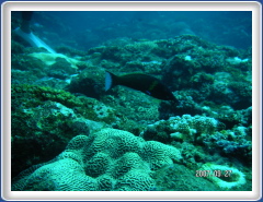PICT0150