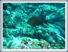 PICT0152
