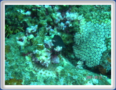 PICT0155