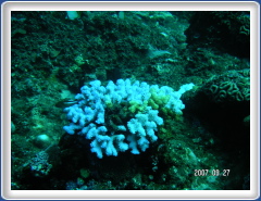 PICT0158