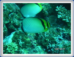 PICT0160