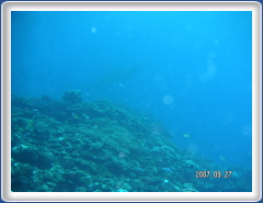 PICT0165